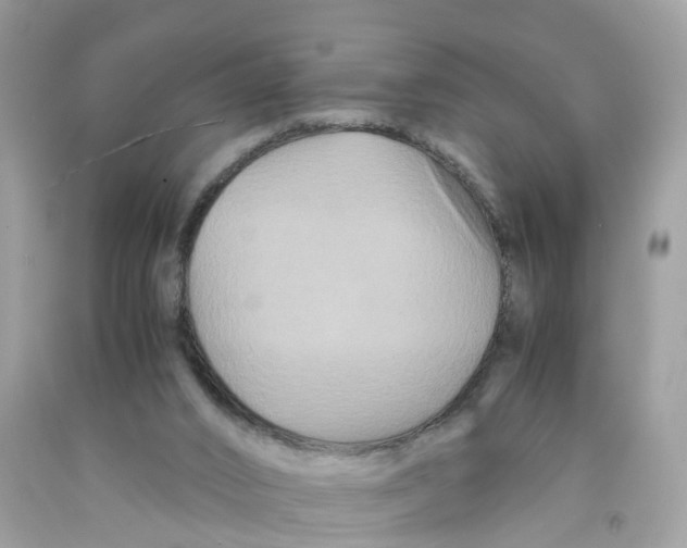 X0000091080016200709041250