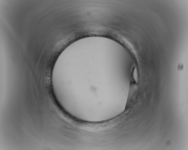 X0000091080017200709041250