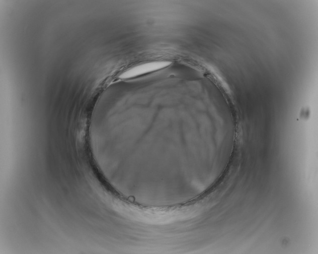 X0000091080018200709041250