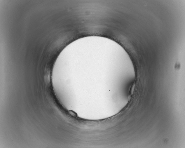 X0000091080021200709041250