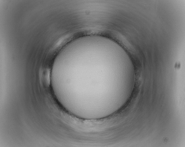 X0000091080022200709041250