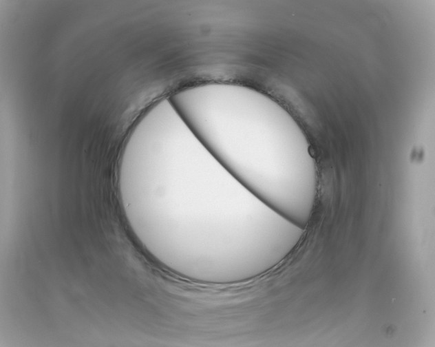 X0000091080023200709041250