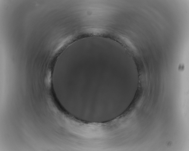 X0000091080024200709041250