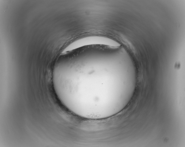 X0000091080025200709041250