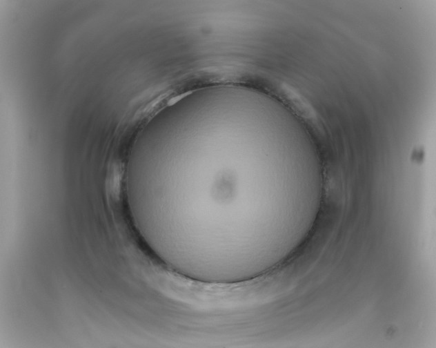 X0000091080026200709041250