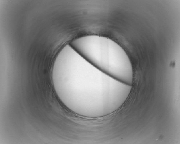 X0000091080027200709041250