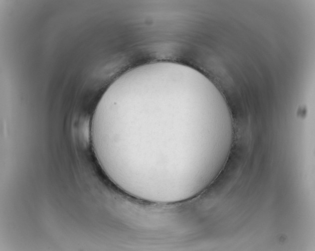 X0000091080028200709041250