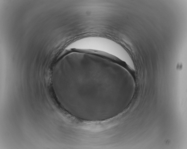 X0000091080029200709041250