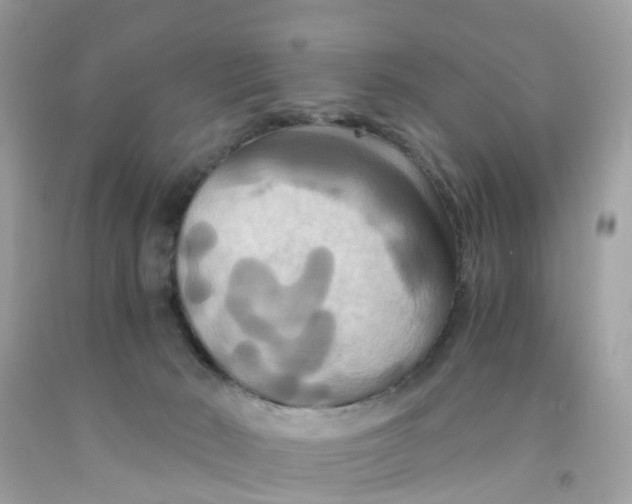 X0000091080030200709041250