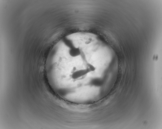 X0000091080032200709041250