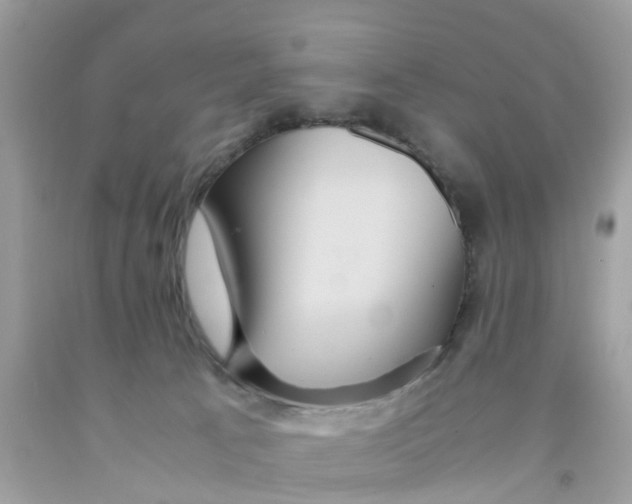 X0000091080033200709041250