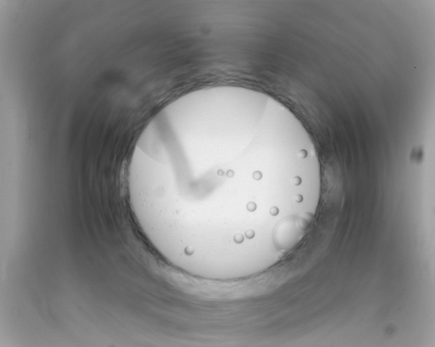 X0000091080034200709041250