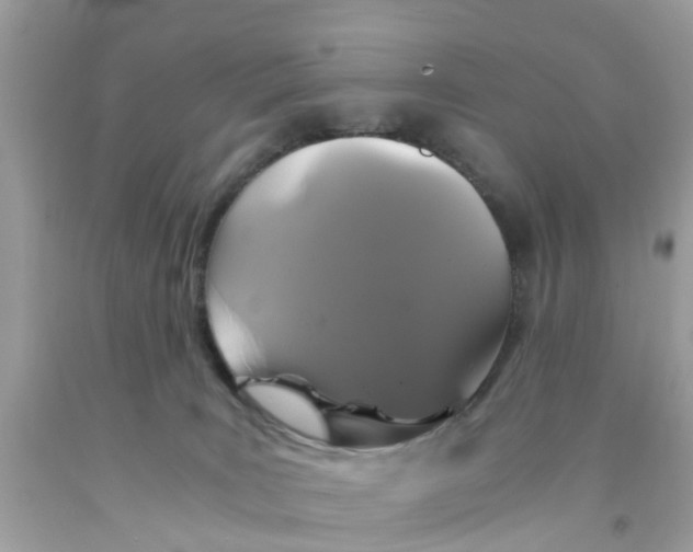 X0000091080035200709041250