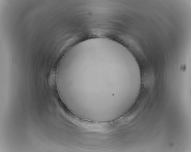 X0000091080036200709041250