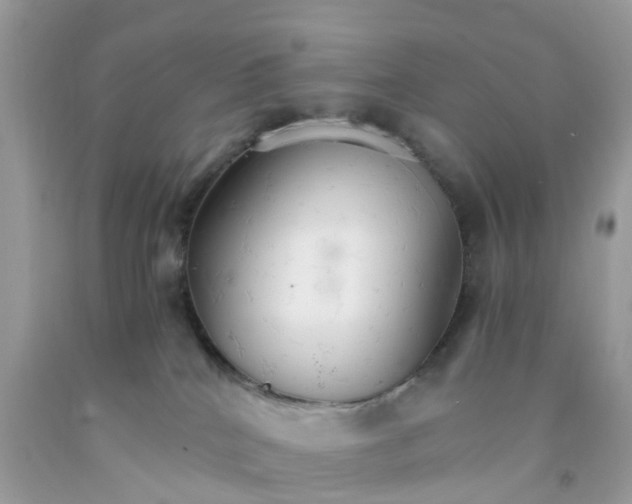 X0000091080040200709041250