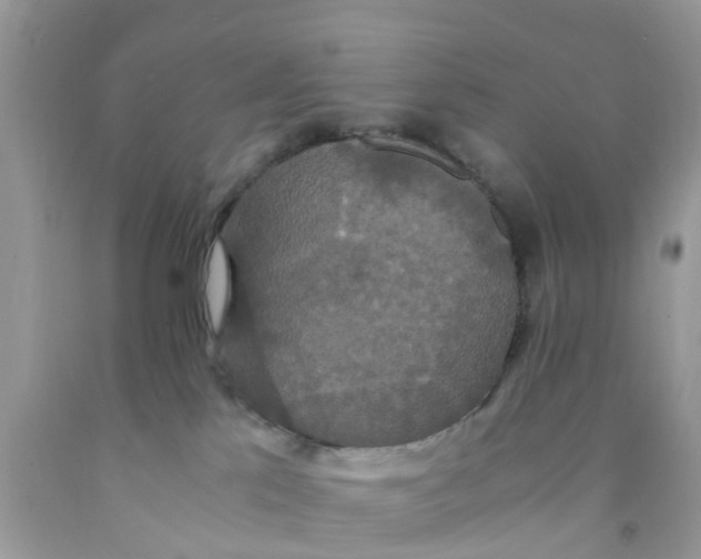 X0000091080041200709041250