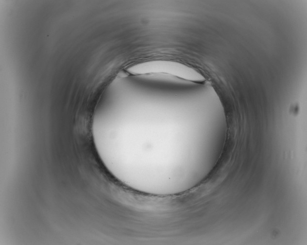 X0000091080044200709041250