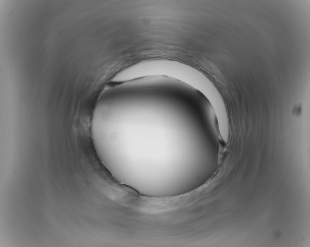 X0000091080045200709041250