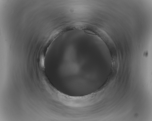 X0000091080046200709041250