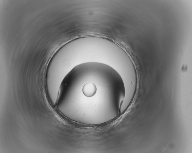 X0000091080049200709041249