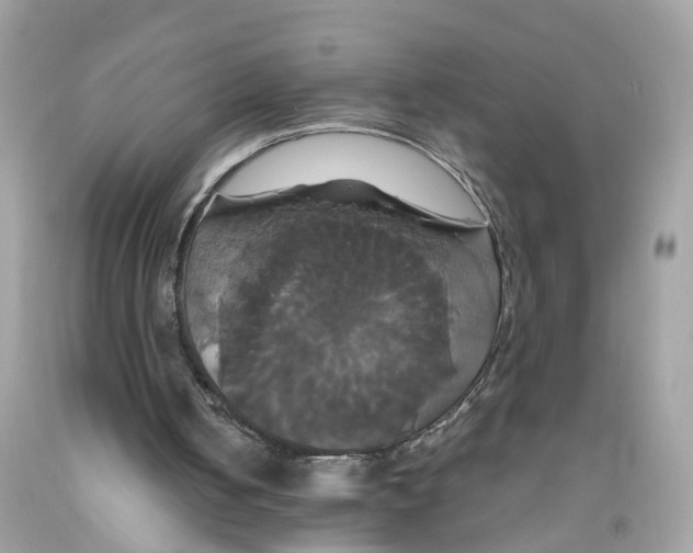 X0000091080050200709041249