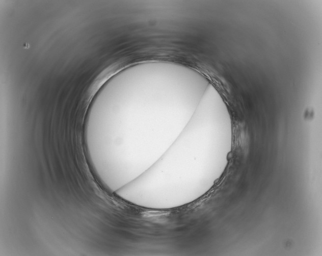 X0000091080051200709041249