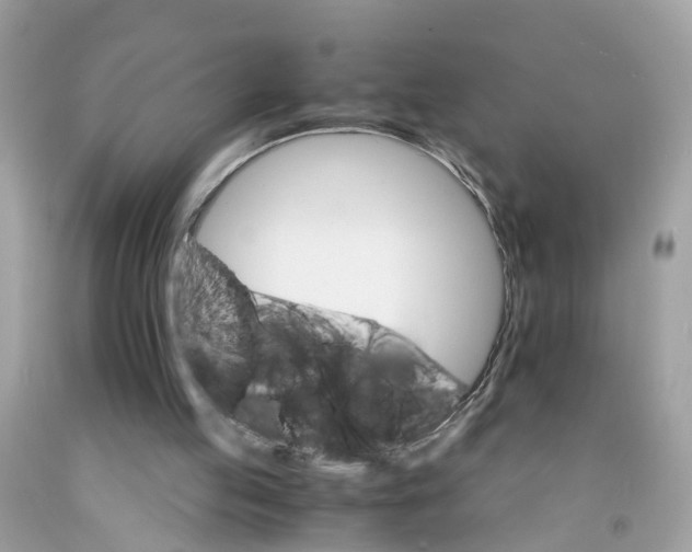 X0000091080053200709041249