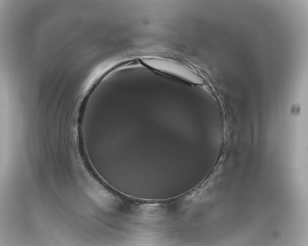 X0000091080054200709041249