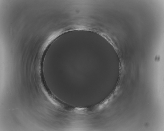 X0000091080055200709041249