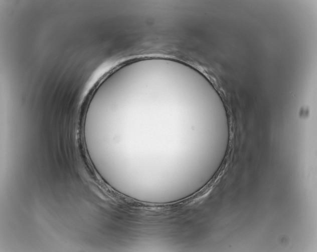 X0000091080056200709041249