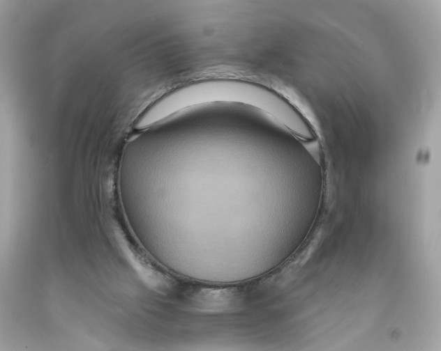 X0000091080057200709041249