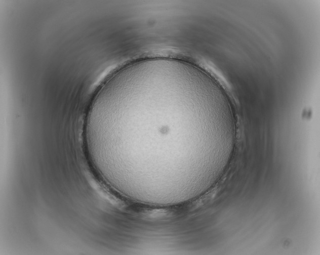 X0000091080058200709041249