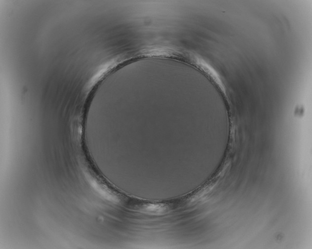 X0000091080059200709041249