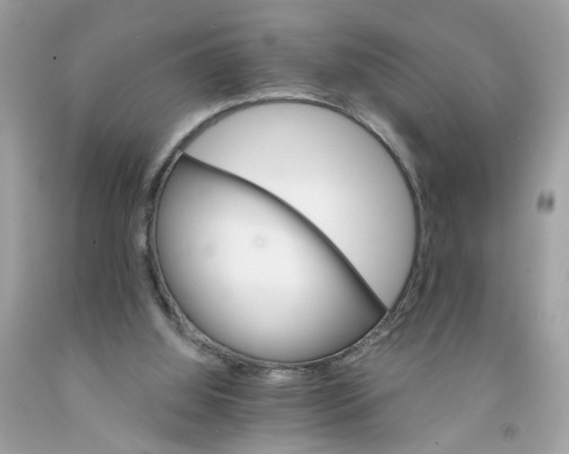 X0000091080060200709041249