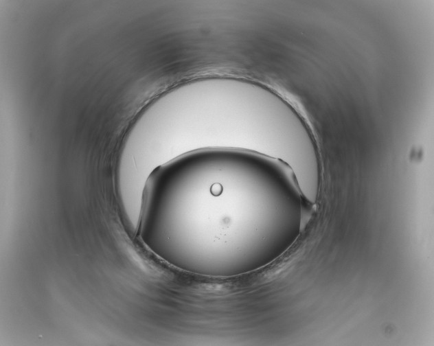 X0000091080061200709041249