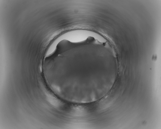 X0000091080062200709041249