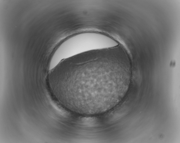 X0000091080063200709041249