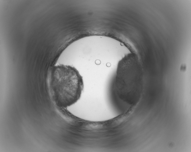 X0000091080065200709041249