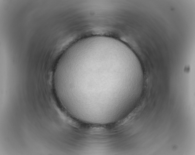 X0000091080066200709041249