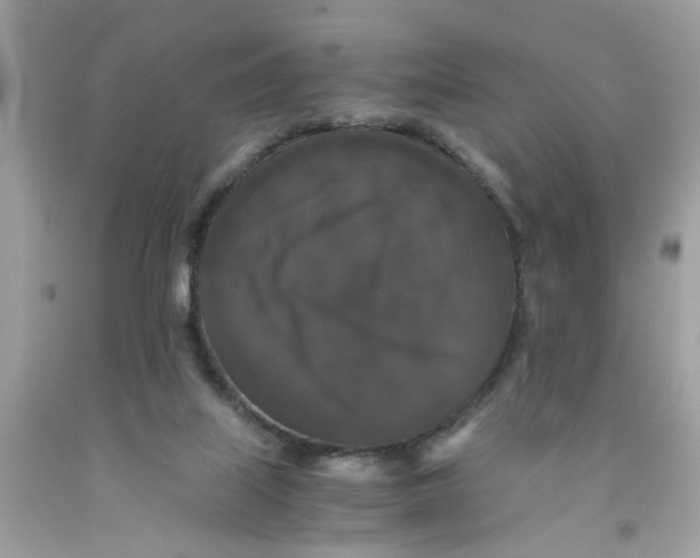 X0000091080067200709041249