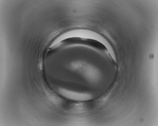 X0000091080068200709041250