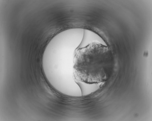 X0000091080069200709041250