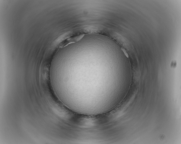 X0000091080071200709041250