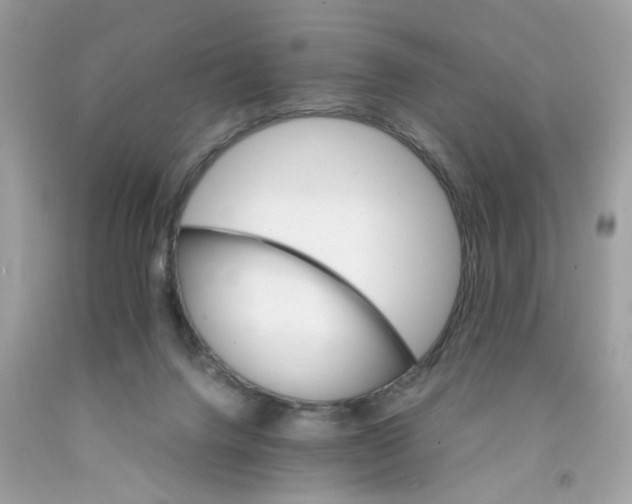 X0000091080072200709041250