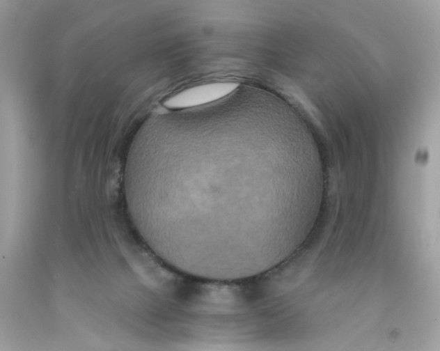 X0000091080073200709041250