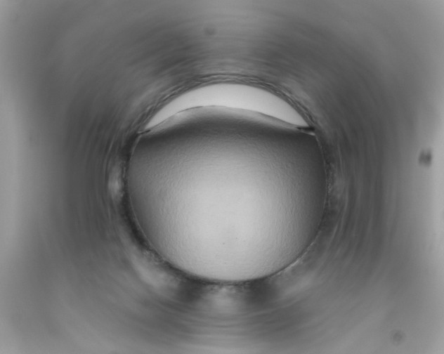 X0000091080074200709041250