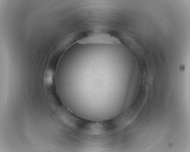 X0000091080075200709041250