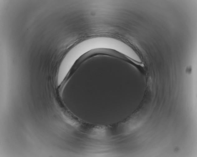 X0000091080076200709041250