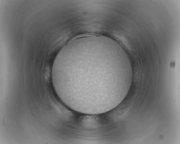 X0000091080077200709041250