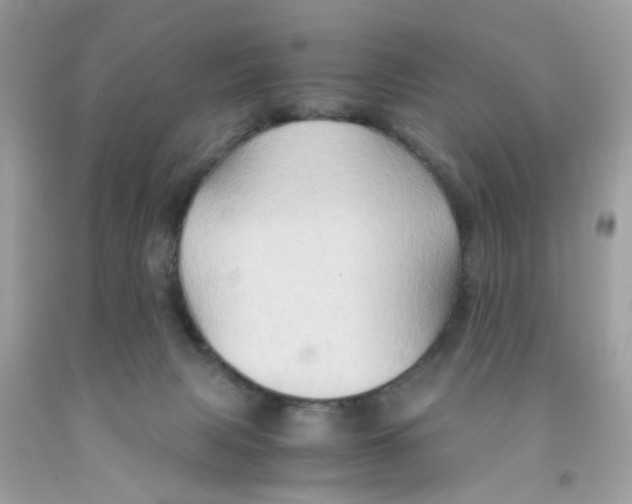 X0000091080079200709041250